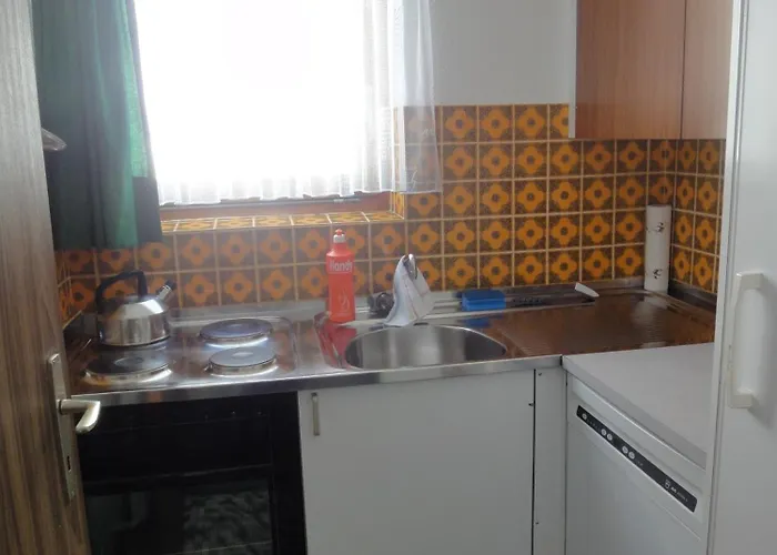 公寓 Adular 萨斯费